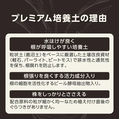 培養土：MY PLANTS　健やかに育てるソイルアガベ・多肉・塊根用　２リットル入り
