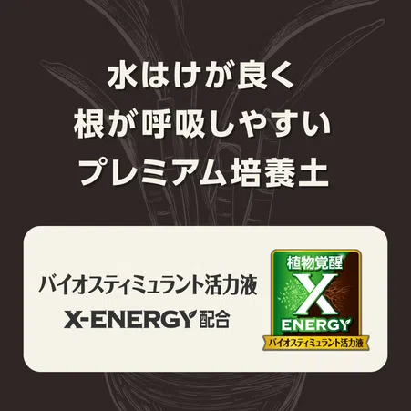 培養土：MY PLANTS　健やかに育てるソイルアガベ・多肉・塊根用　２リットル入り