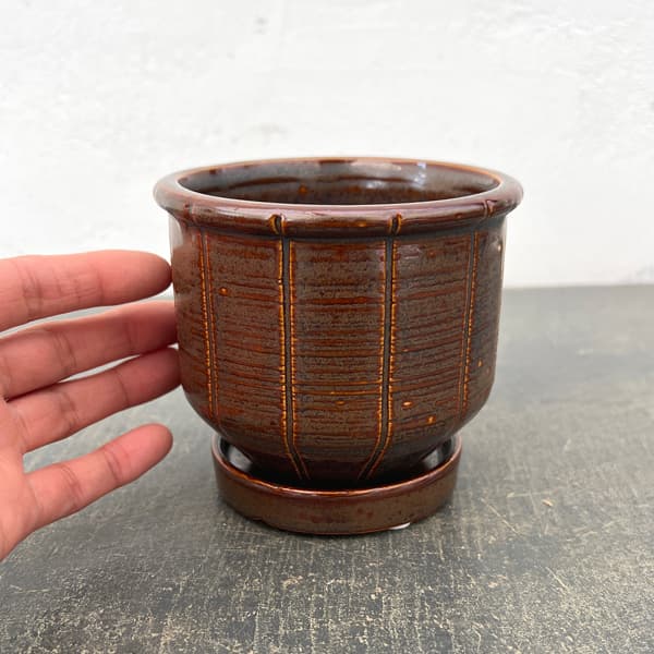 エンシェント ポット アンド ソーサー Sサイズ ブラウン（直径10cm、高さ19.2cm）