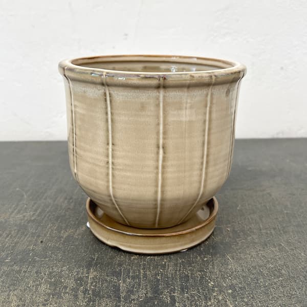 エンシェント ポット アンド ソーサー Mサイズ アイボリー（直径14cm×高さ13.2cm）