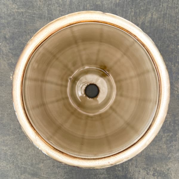 エンシェント ポット アンド ソーサー Mサイズ アイボリー（直径14cm×高さ13.2cm）