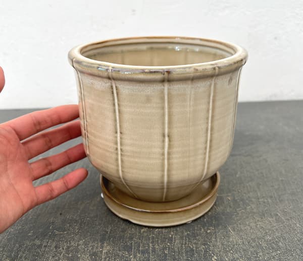 エンシェント ポット アンド ソーサー Mサイズ アイボリー（直径14cm×高さ13.2cm）