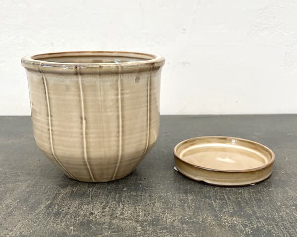 エンシェント ポット アンド ソーサー Mサイズ アイボリー（直径14cm×高さ13.2cm）