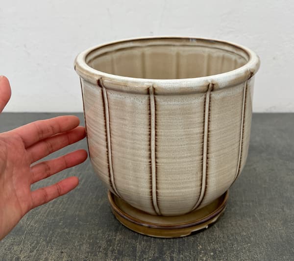 エンシェント ポット アンド ソーサー Lサイズ アイボリー(直径17.4cm×高さ15.7cm)