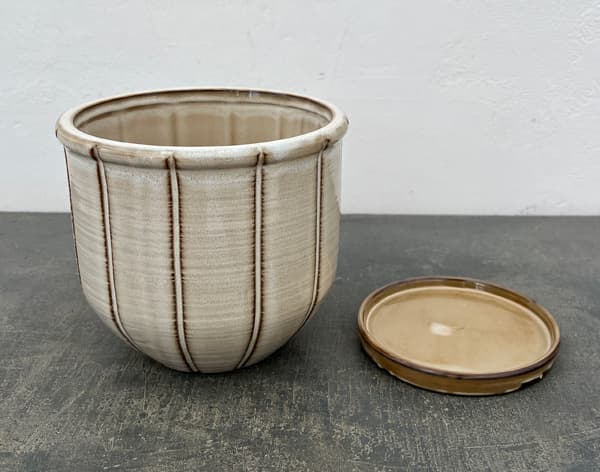 エンシェント ポット アンド ソーサー Lサイズ アイボリー(直径17.4cm×高さ15.7cm)