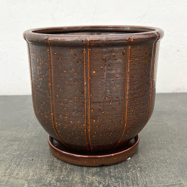 エンシェント ポット アンド ソーサー Lサイズ ブラウン（直径17.4cm×高さ15.7cm）