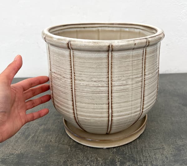 エンシェント ポット アンド ソーサー XLサイズ アイボリー（直径22.5cm、高さ20.2cm）