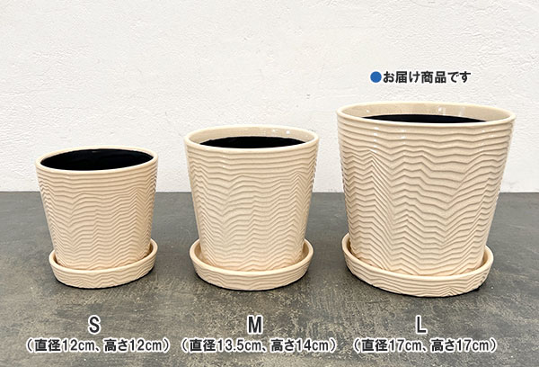 パルサー ポット アンド ソーサー Lサイズ ホワイト(直径17cm×高さ17cm)