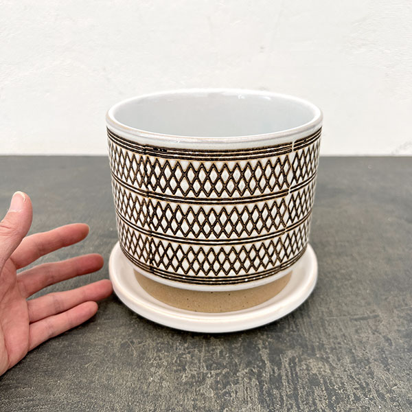 ドローセカンド ポット アンド ソーサー Mサイズ(直径17.4cm×高さ14.4cm)