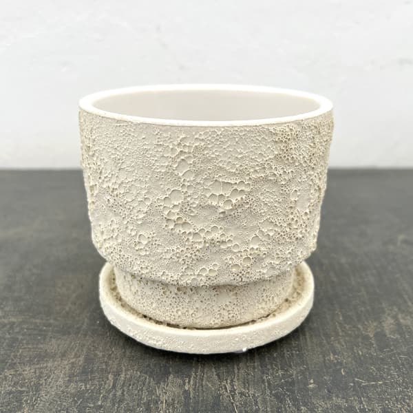 クラック ポット アンド ソーサー Sサイズ ホワイト（直径10.8cm、高さ10cm）