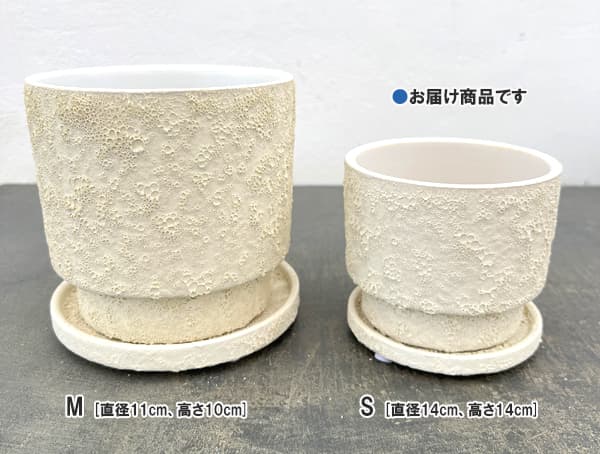 クラック ポット アンド ソーサー Sサイズ ホワイト（直径10.8cm、高さ10cm）