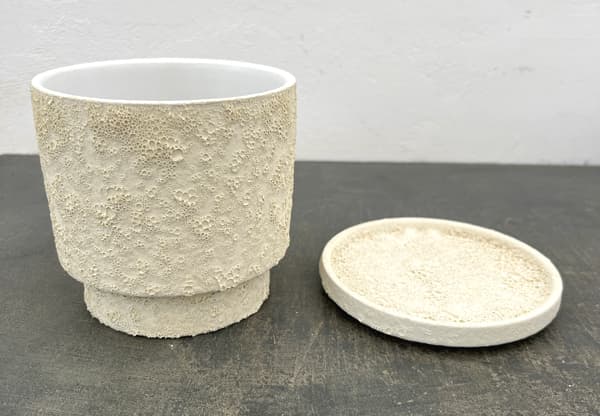 クラック ポット アンド ソーサー Mサイズ ホワイト（直径13.8cm、高さ14cm）
