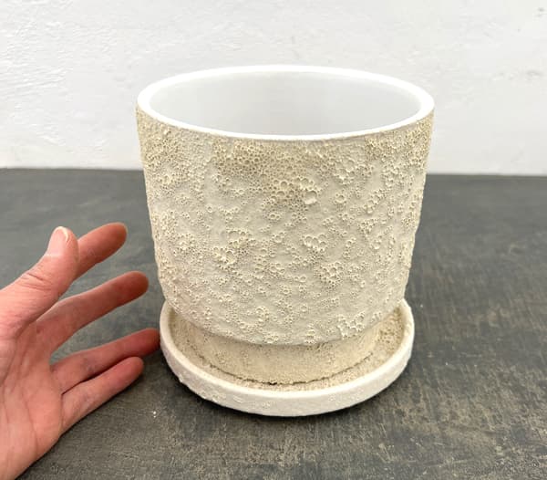 クラック ポット アンド ソーサー Mサイズ ホワイト（直径13.8cm、高さ14cm）