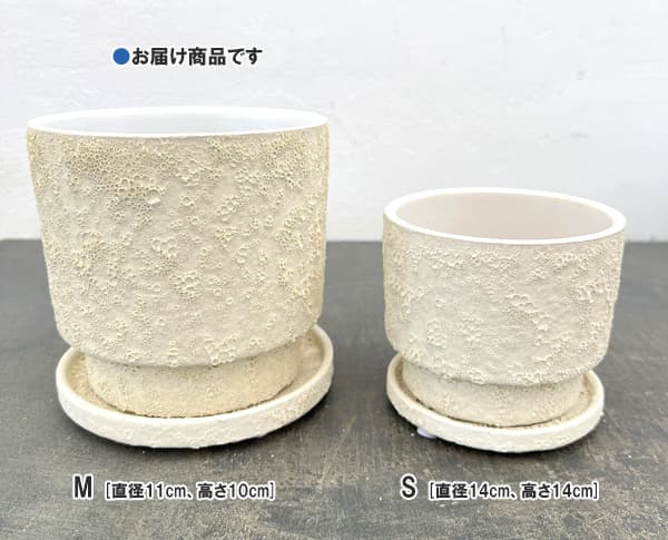 クラック ポット アンド ソーサー Mサイズ ホワイト（直径13.8cm、高さ14cm）