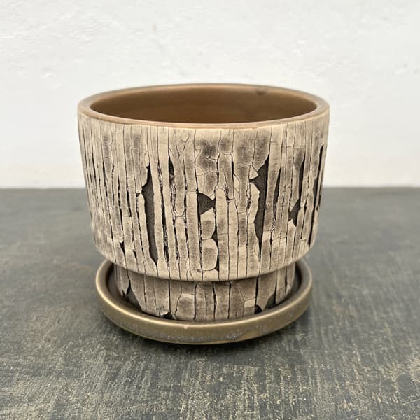 クラック ポット アンド ソーサー Sサイズ グレー（直径10.8cm、高さ10cm）