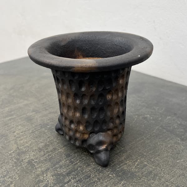 信楽焼き：万山オモト 5号（直径約15cm）