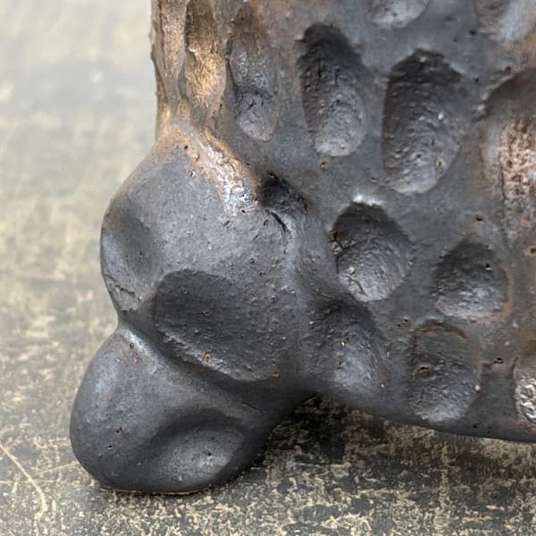 信楽焼き：万山オモト 5号（直径約15cm）