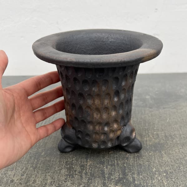 信楽焼き：万山オモト 5号（直径約15cm）