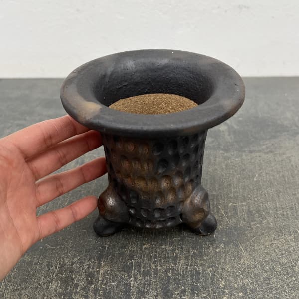 信楽焼き：万山オモト 4号（直径約12cm）