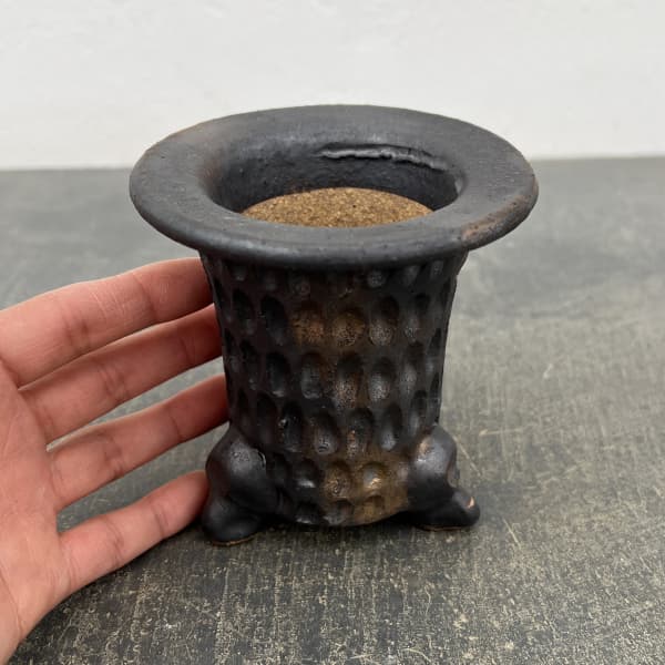 信楽焼き：万山オモト 3.5号（直径約9.5cm）