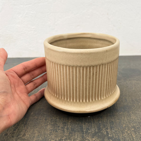 ミネルバ：ベージュS（直径約13cm）