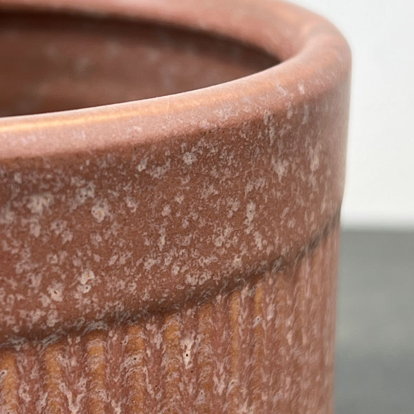 ミネルバ:紫S(直径約13cm)