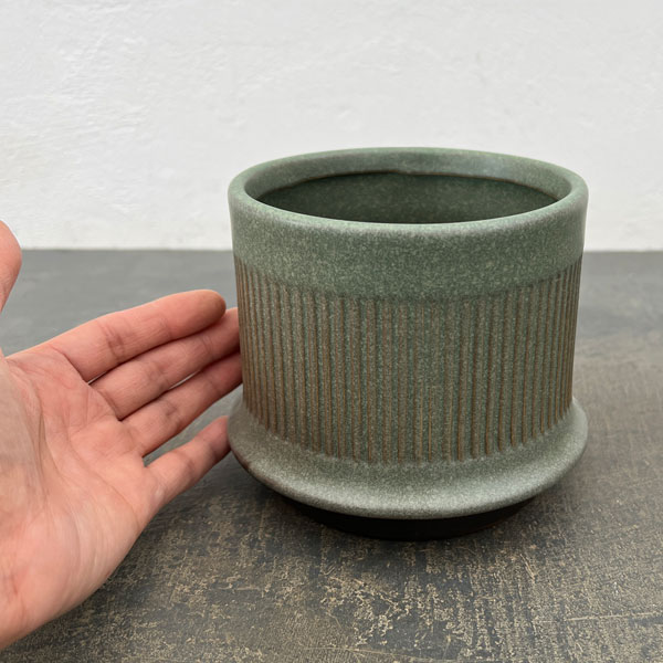 ミネルバ:緑S(直径約13cm)
