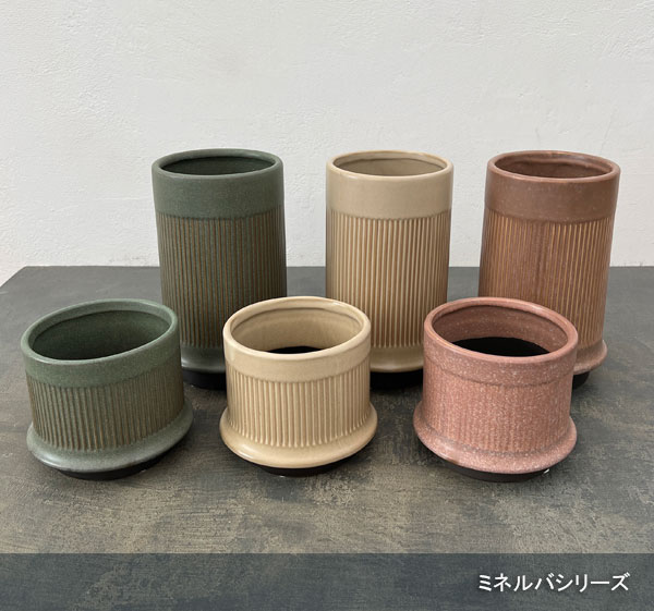 ミネルバ：緑S（直径約13cm）／黒マット受け皿付き