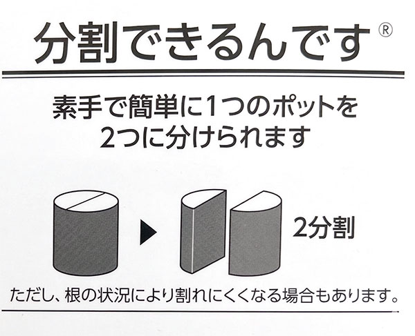 分割シリーズ：シレネ：ピーチブロッサム（2分割仕様）3.5号ポット 12株セット
