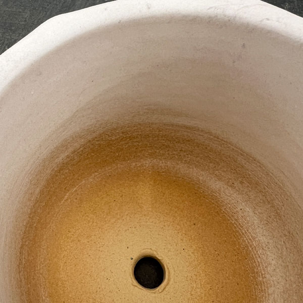 信楽焼き：デネブ チタンホワイト（直径約12.5cm）・受け皿付