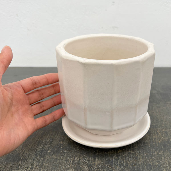 信楽焼き：デネブ チタンホワイト（直径約12.5cm）・受け皿付