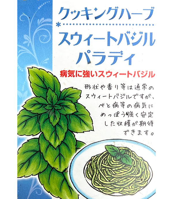 イタリアンハーブ：スイートバジル　パラディ3.5号ポット
