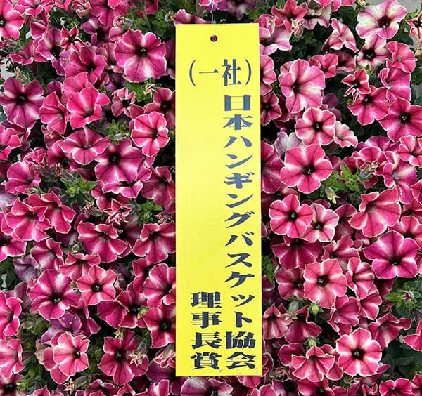 04【（一社）日本ハンギングバスケット協会理事長賞】 Hanayoshiさんのペチュニア：モンローウォークピーチベール3.5号