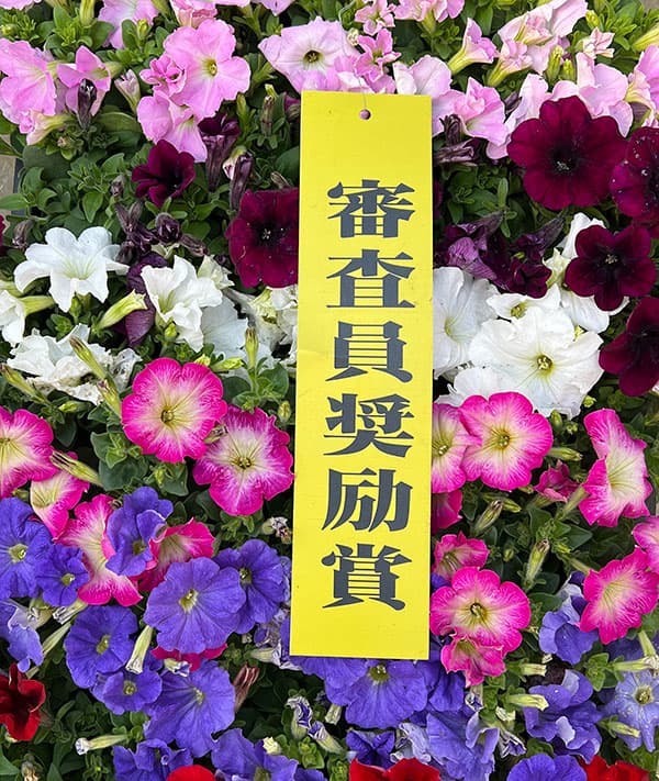 11【審査員奨励賞】西山園芸さんのペチュニア3.5号(花色おまかせ)