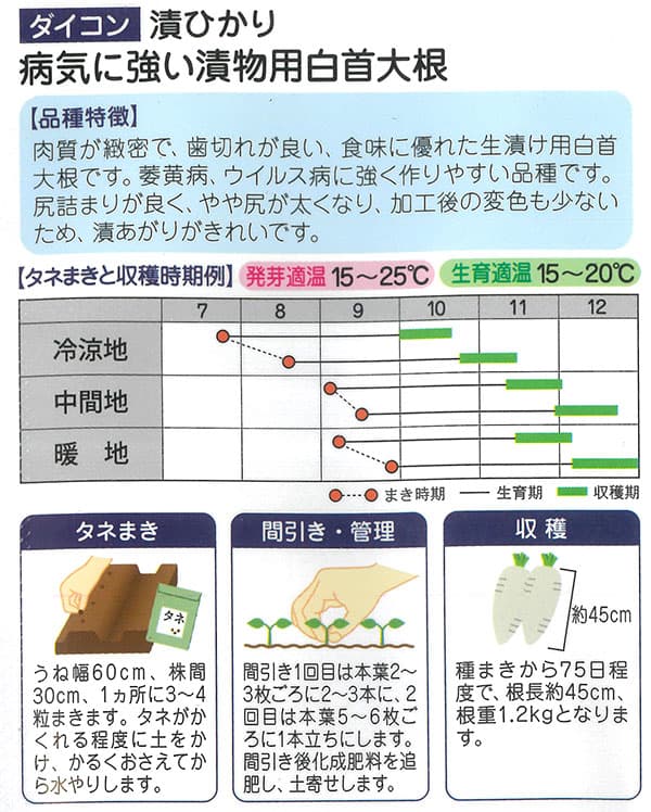 ダイコン：漬ひかり（つけひかり）[野菜タネ]