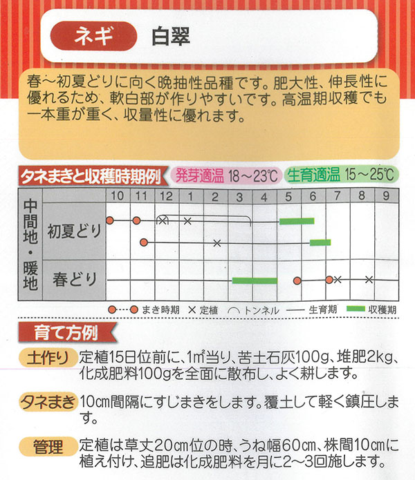 ネギ：白翠（はくすい）[野菜タネ　秋、春まき]