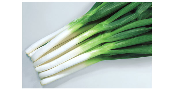 ネギ：ぬくもり[野菜タネ　秋、春まき]