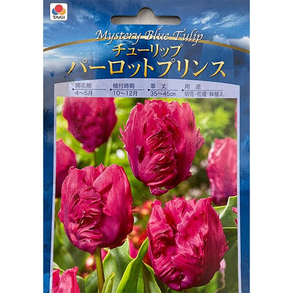 空色チューリップ：3品種セット（球根）