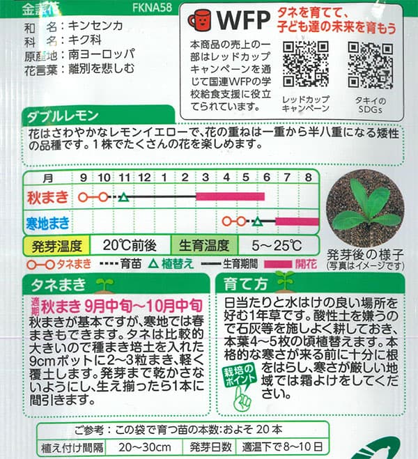 キンセンカ（金盞花）：ダブルレモン[タキイ 花タネ]