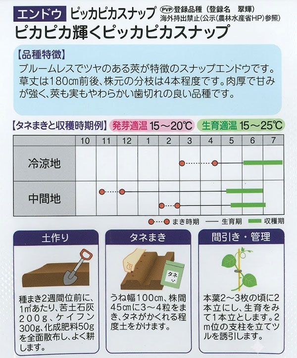 エンドウ：ピカピカ輝く ピッカピカスナップ[秋・春まき 野菜タネ]