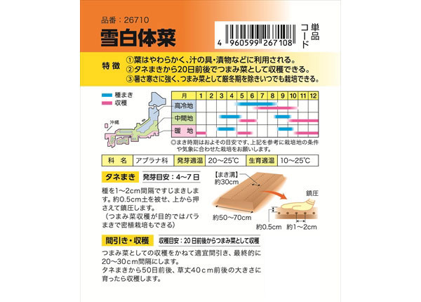 しゃくし菜：雪白体菜(せっぱくたいさい)　の種