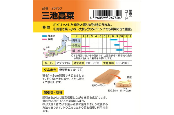 タカナ:三池高菜(みいけたかな) の種