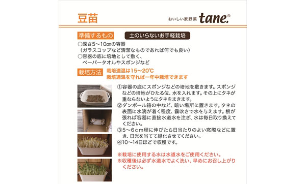 tane,豆苗