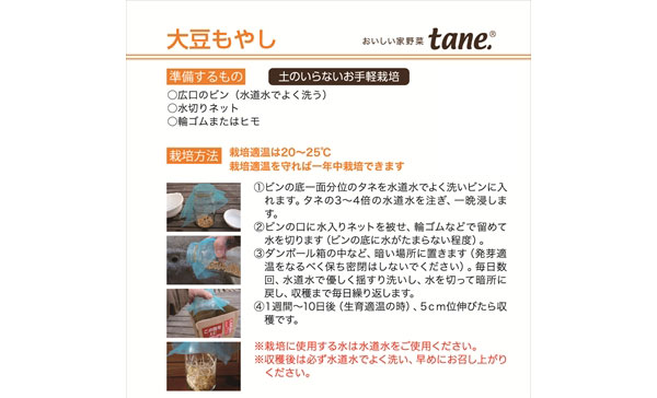 tane,大豆もやし