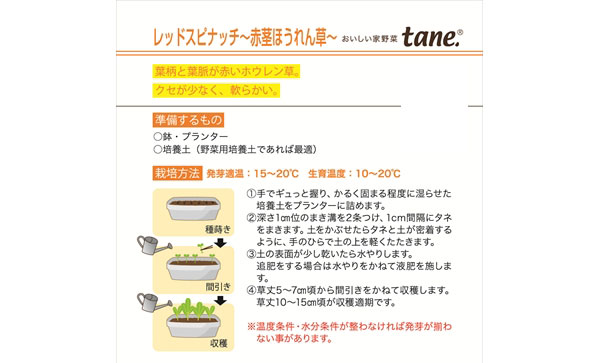 tane,レッドスピナッチ