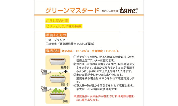 tane,グリーンマスタード