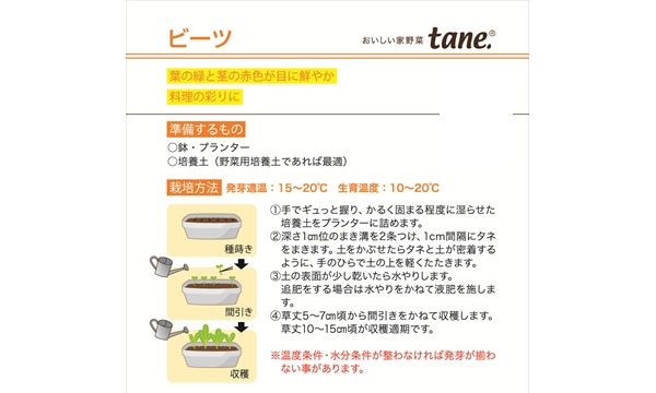 tane,ビーツ