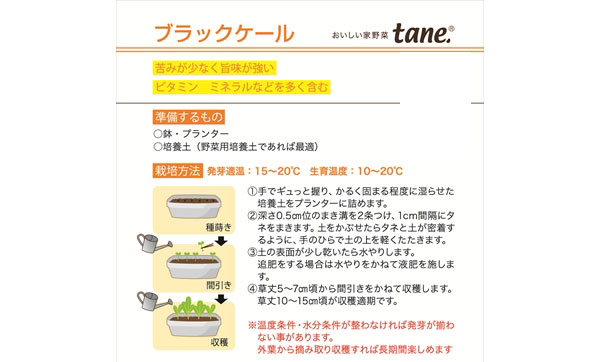 tane,ブラックケール