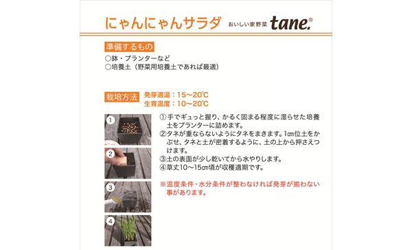 tane,にゃんにゃんサラダ(ネコ草)
