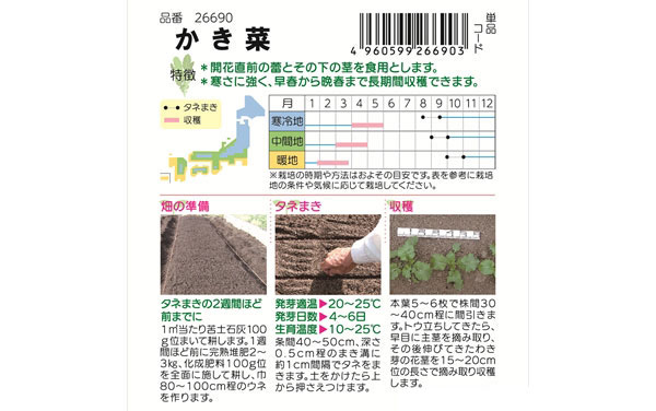 かき菜 の種